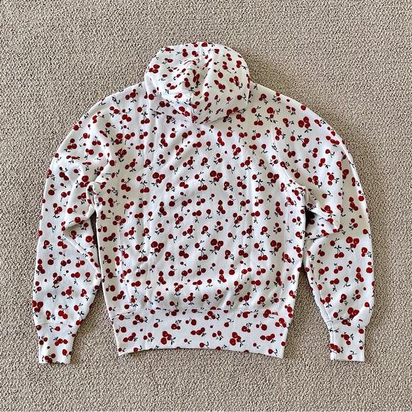 Champion + HVN for Urban Outfitters Cheery Hoodie Sweatshirt, S - Picture 3 of 16